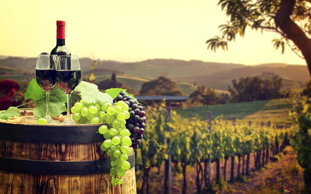 Kvalitet koji oduševljava